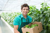 Grocery-guide-supply-chain-resilience