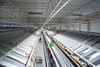Intelligent control of major conveying system