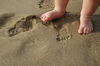 Smaller-footprint-vertimag-VLM