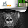 SilverBack-only-label-you-need