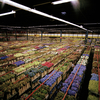 Potential-oversupply-pandemic-property-logistics