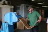 Thermal-protection-packaging-meat-shipments