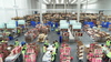Ready-to-go robots