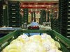 Fresh produce automation