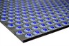 Sorting-the-uglies-habasit-conveyor